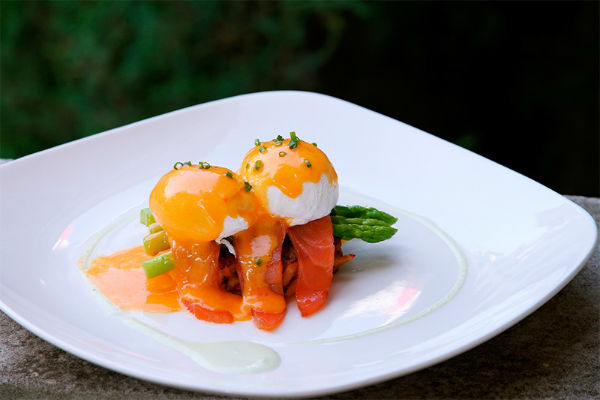 Salmon Poached Eggs MAYA Brunch